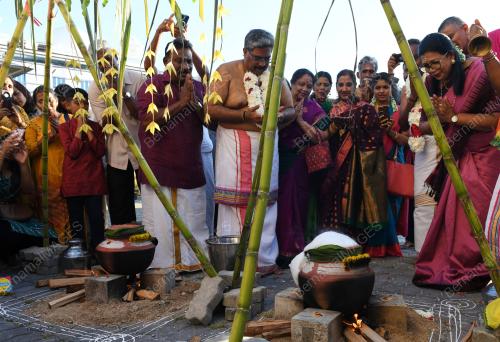 PERAYAAN PONGGAL
