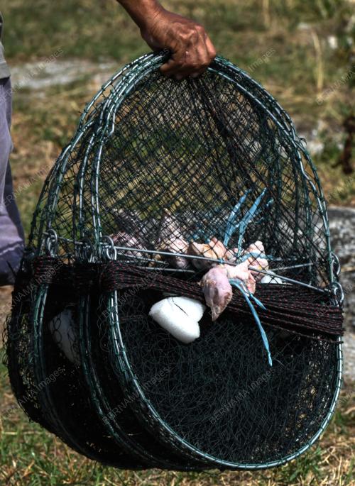 UMPAN MENANGKAP KETAM