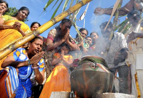 PG01_15012015_PONGGAL