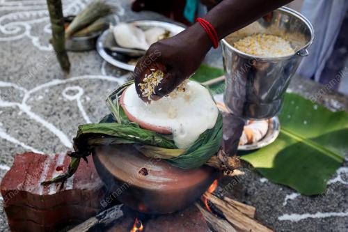 PESTA PONGGAL