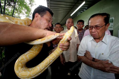 ABANG MUHAMMAD SALAHUDDIN ABANG BARIENG