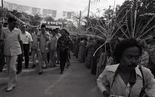 MUSA HITAM