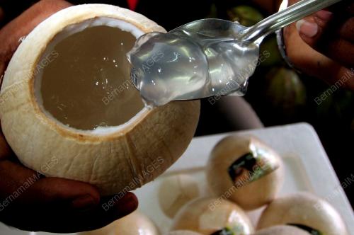 JELI KELAPA
