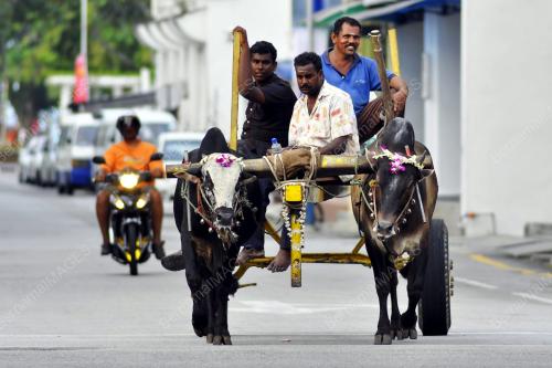 KERETA LEMBU