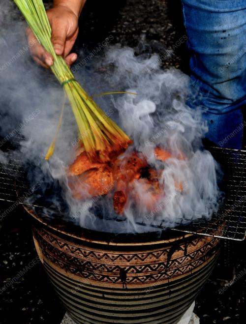 AYAM PASU BALIK PULAU