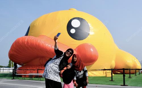 PG01_17082019_BERGAMBAR_BN201908168244