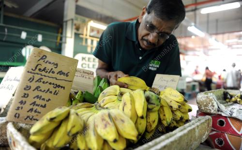 PG01_18062016_PISANG