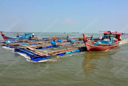 PG01_18082019_SANGKAR_IKAN