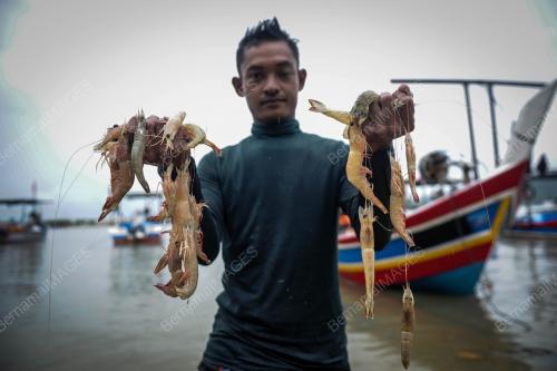 MUSIM TENGKUJUH NELAYAN SUNGAI BATU