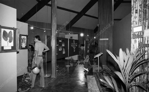 PG01_19012015_MUZIUM_PERHUTANAN