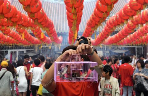 PG01_19022015_LEPAS_BURUNG