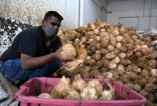 PEMBORONG KELAPA KECEWA