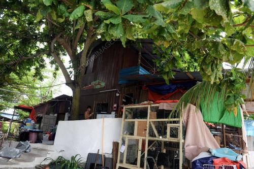 PG01_20062017_CAT_BEACH