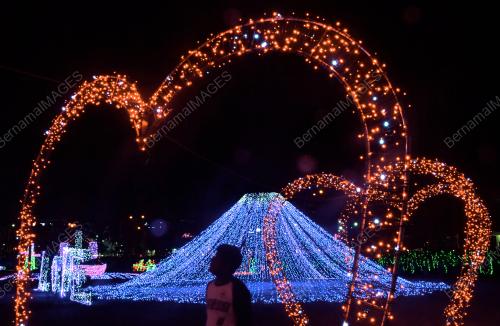 PG01_22052019_LAMPU_HIASAN_BN201902251564