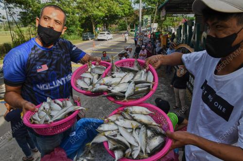 SUMBANGAN IKAN SEGAR