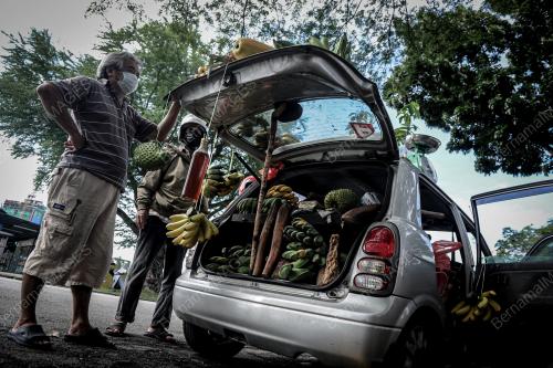 PENJUAL BUAH-BUAHAN