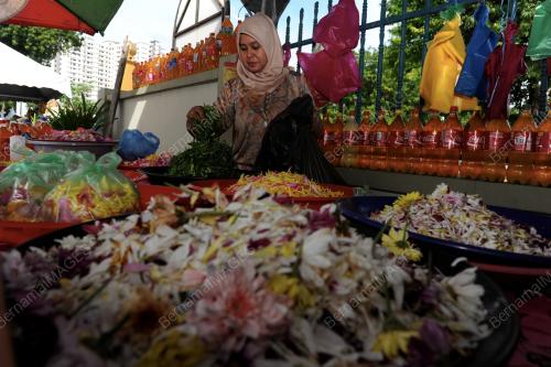 PG01_24062017_BUNGA_HANCUR