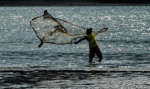 BANGLADESH JALA IKAN