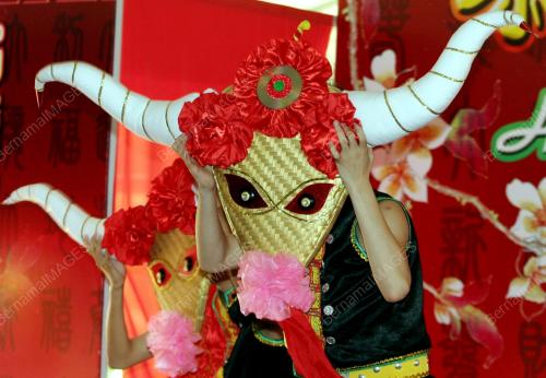 TAHUN BARU CINA