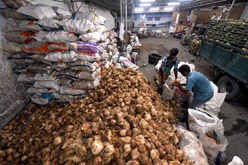 PG01_26012018_KELAPA