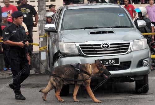 PG01_26052018_ANJING
