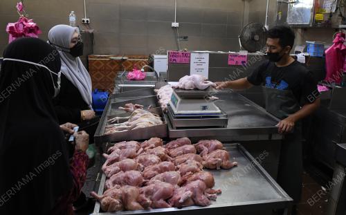 BEKALAN AYAM