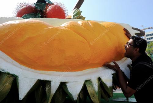 PG01_27052014_DURIAN_GERGASI