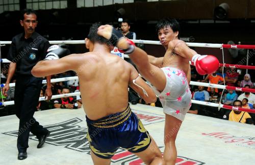 PG01_28012013_TOMOI