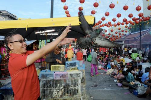 PG01_28012017_LEPAS_BURUNG