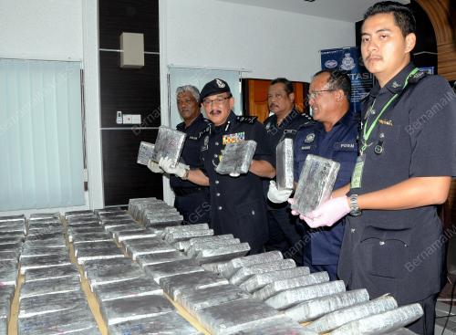 PG01_29012013_RAMPASAN_GANJA