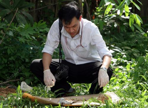 CEBISAN TULANG