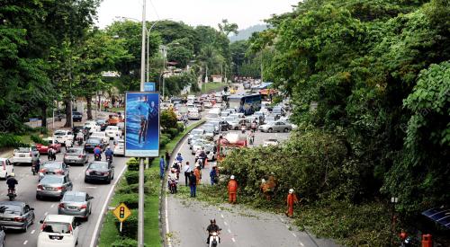 PG01_30072014_POKOK