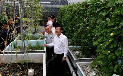 PG01_30082019_KM_AQUAPONICS_BN201908299643