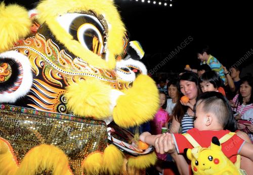 PG01_31012014_KANAK_SINGA