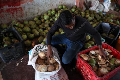 BEKALAN KELAPA