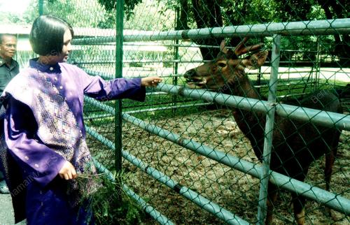 PG02-01_06_2000_AISHAH_MINI_ZOO_08012016