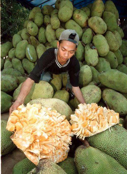 PG02-020200_SUSUN_BUAH_07012016