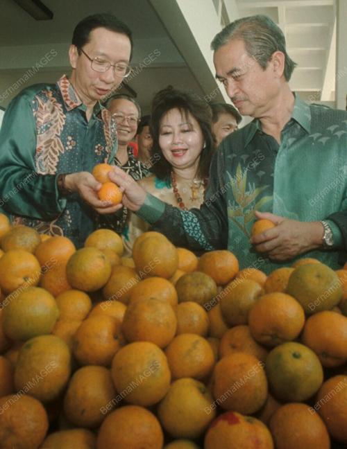 PG02-25_01-01_TPM-LIMAU_18012016