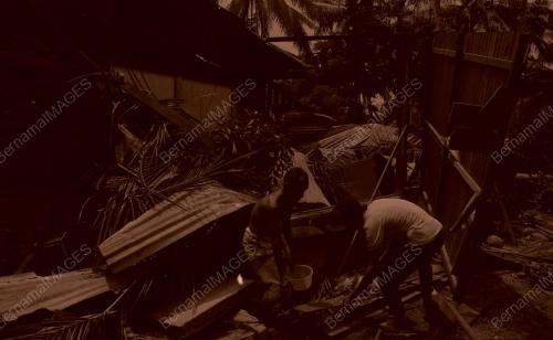 PG02_030490_POKOK_TUMBANG