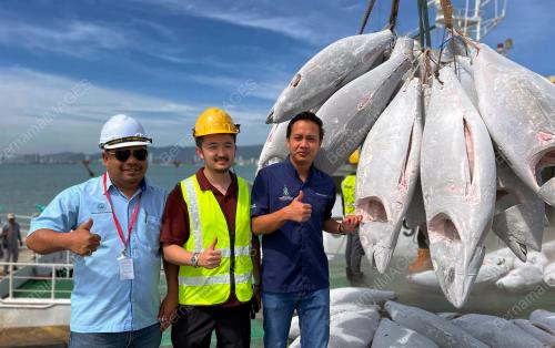 IKAN TUNA