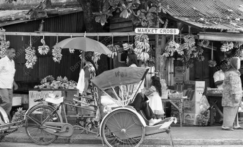 PG02_03082015_PISANG