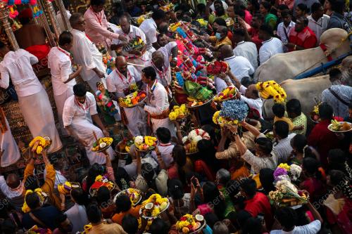 THAIPUSAM