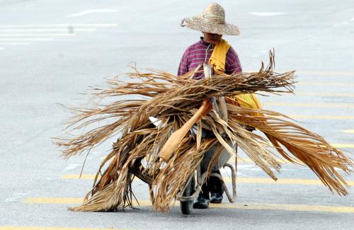 PG02_04052016_DAUN_PINANG