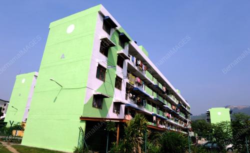 PG02_04082014_CAT_HIJAU