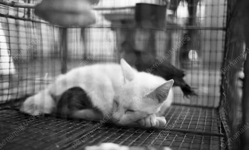PG02_05022015_HAIWAN