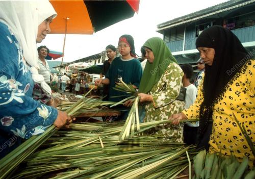 DAUN PALAS