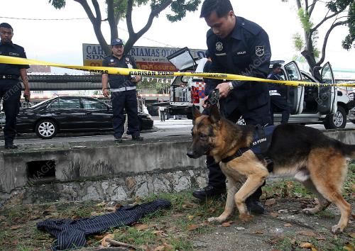 POLIS