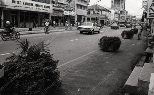 POKOK HIASAN