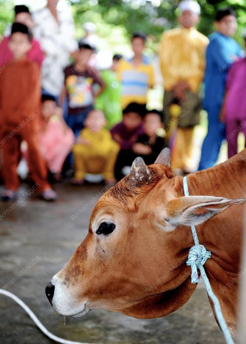 HARI RAYA AIDILADHA