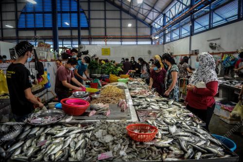 PERSIAPAN PKPD_PASAR SRI AMAN